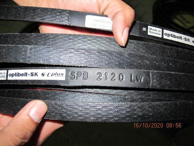Belt Photo 8